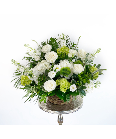 White & Green Sympathies