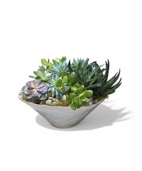 Succulent Garden - Ceramic Dish