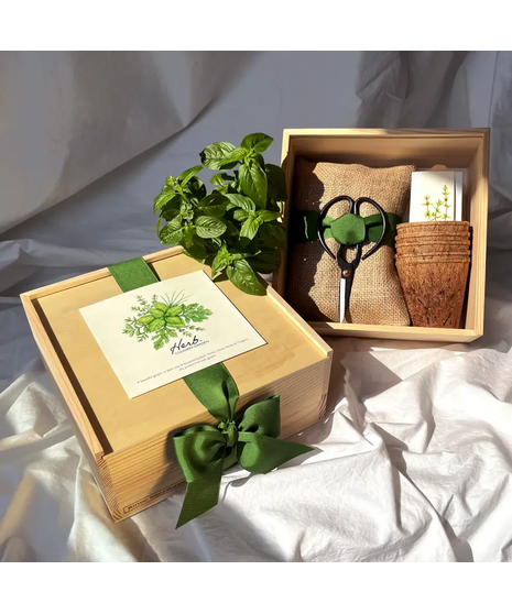 Culinary Herb Garden Box