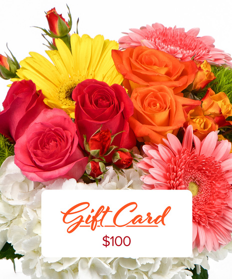 Gift Cards Online  Buy e-gift Cards Online