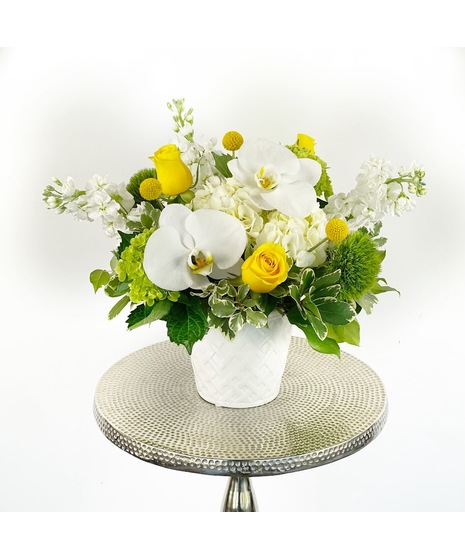 Citrus Sunshine