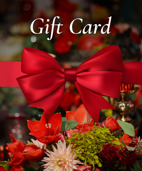 E-Gift Card (Product Purchases Only) | FACEGYM