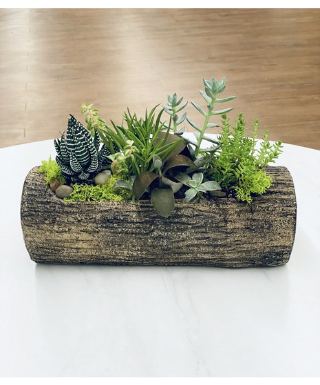 Succulent -Faux Wood Log