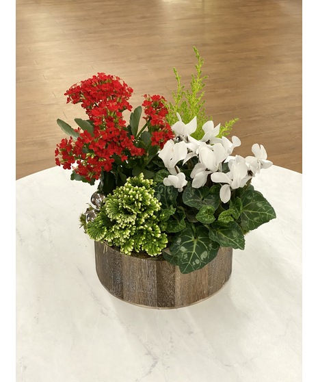 Rustic Holiday Planter