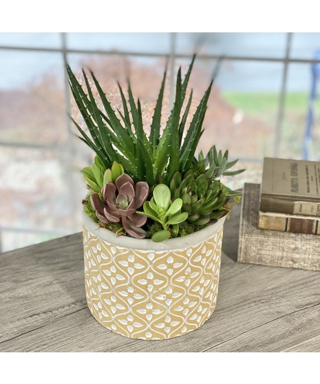 Succulent - Embossed Concrete Pot