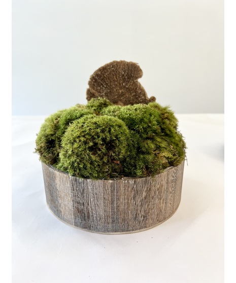 Moss Centerpiece