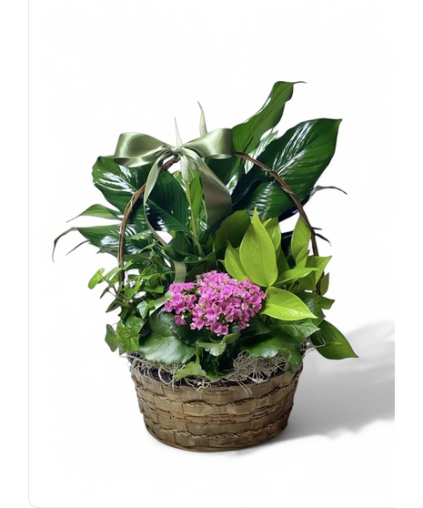 Collection of green and blooming plants arranged in a handwoven basket and dressed with moss and a bow