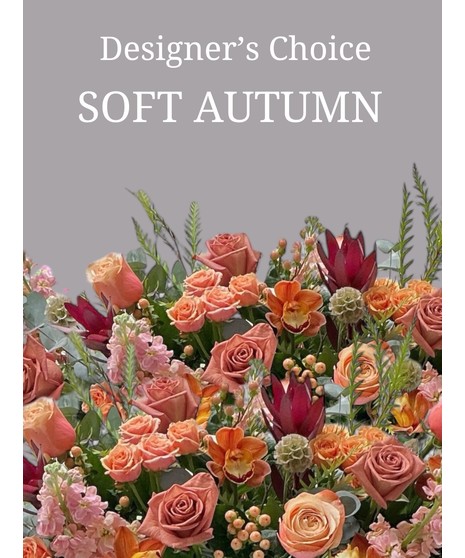 Designer's Choice - Soft Autumn
