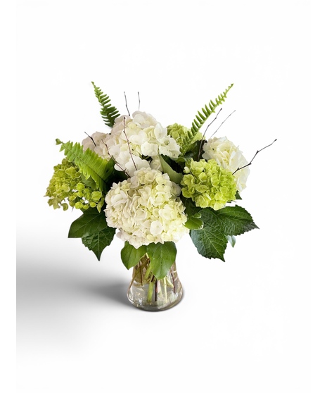 White and green hydrangeas with lily grass and green ribbon in a clear glass vase