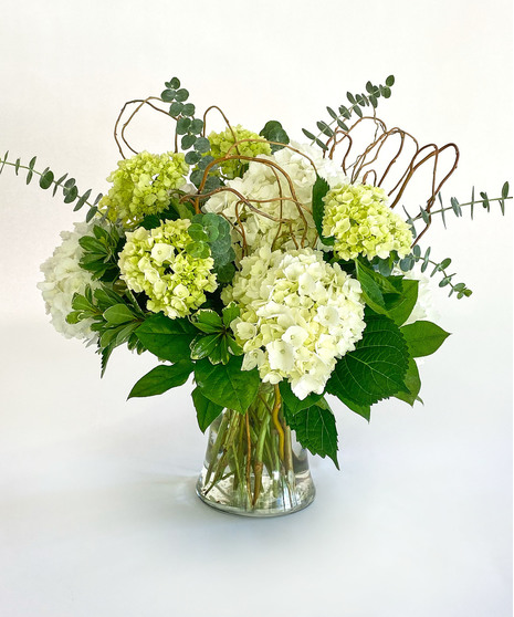 White and green hydrangeas with lily grass and green ribbon in a clear glass vase