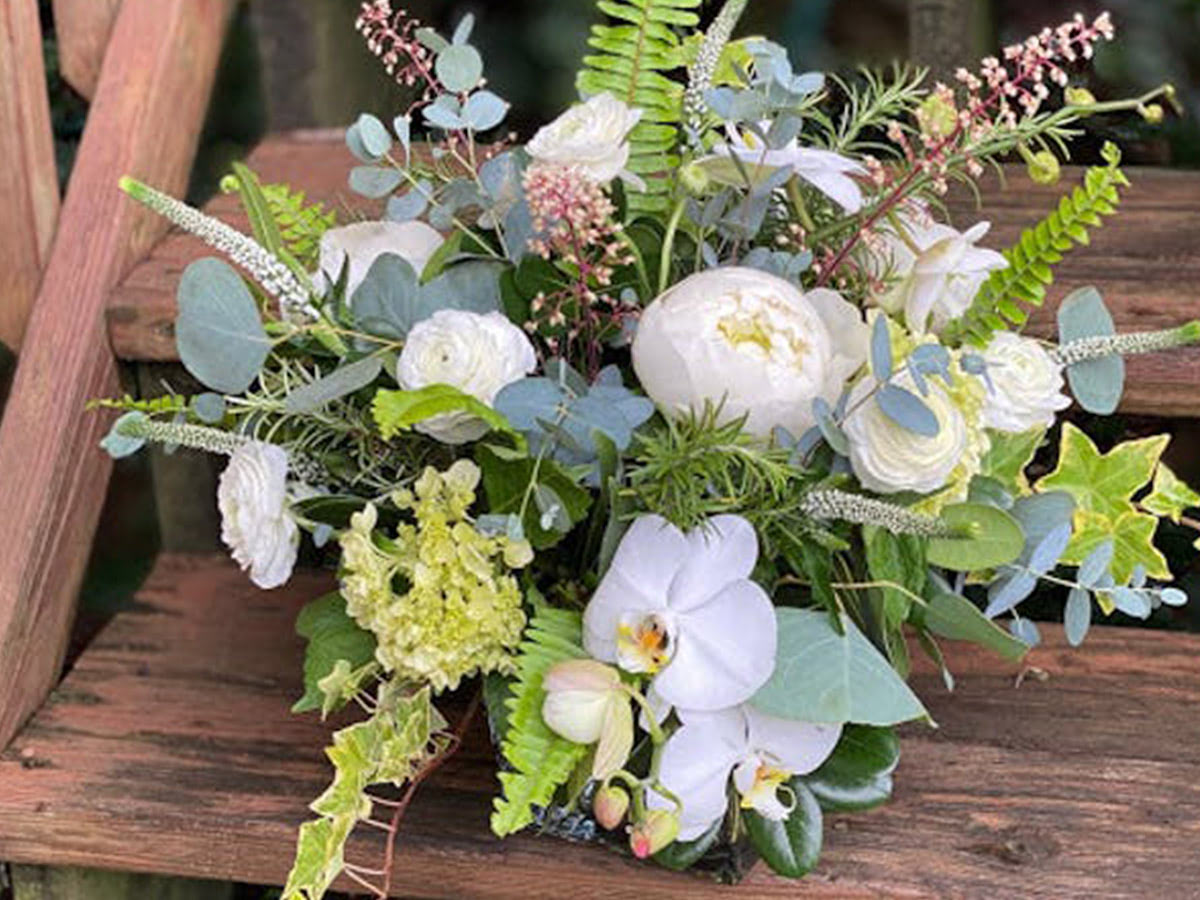 Gorgeous white flowers looking for their next home