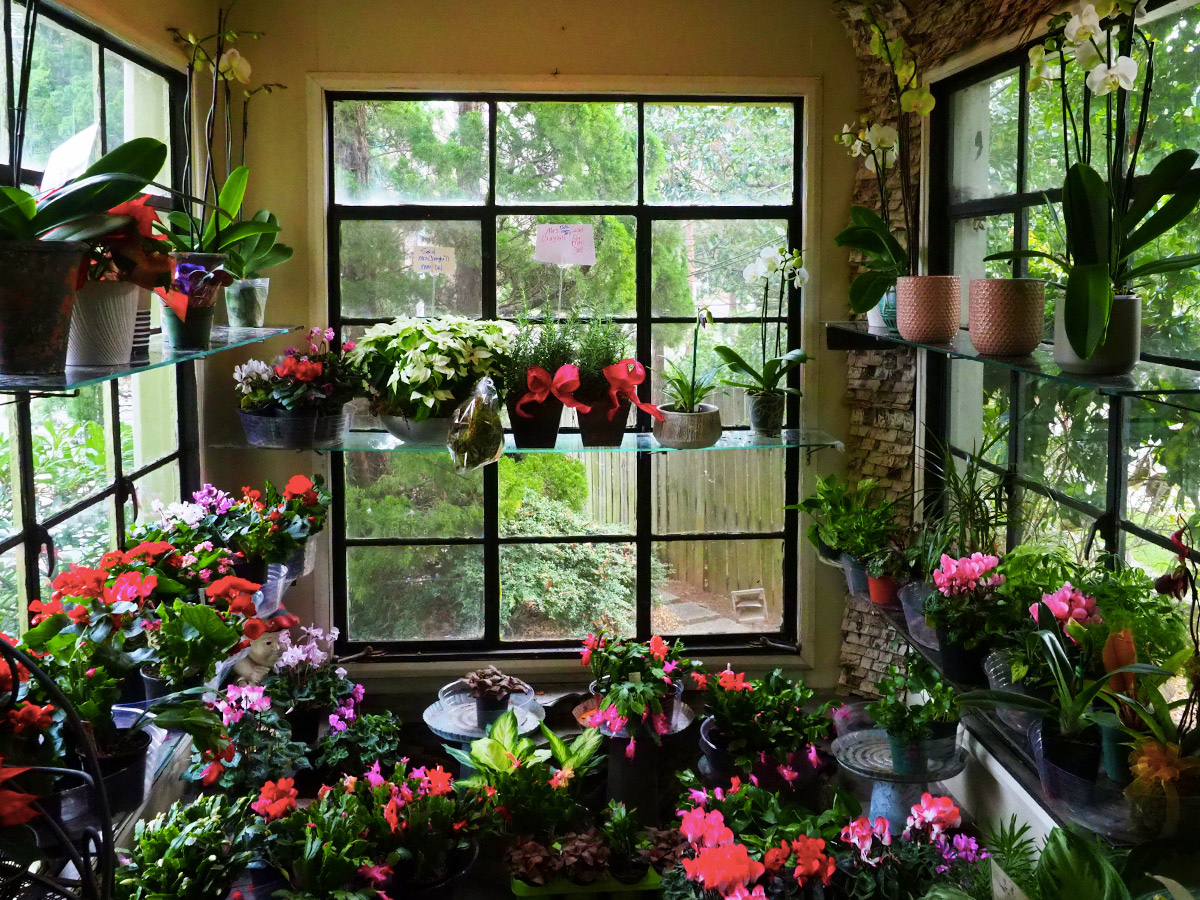 A wide range of bouquets, arrangements and plants on display in our sun room